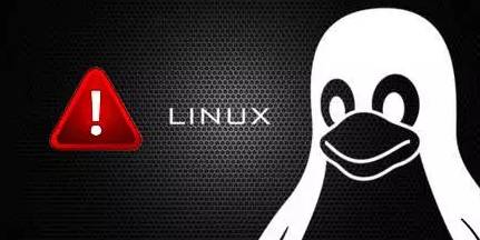 Linux最新漏洞揭秘，安全挑战及应对策略探讨