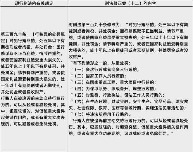 最新刑法行贿研究，法律规制与治理策略探讨