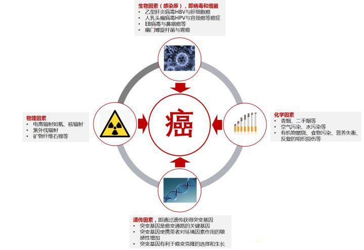 最新癌症病因研究概述，探索癌症的源头与机制