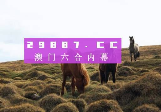 信息咨询 第190页