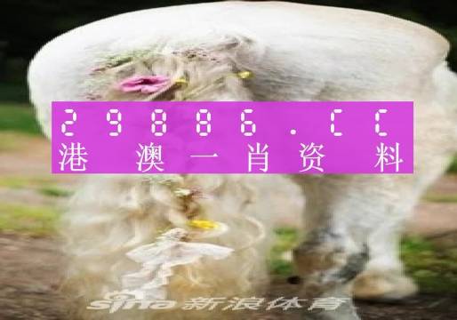 澳门一肖一码100准免费资料,准确资料解释落实_UHD版37.70