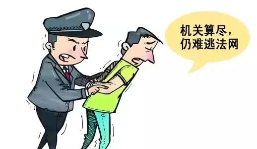 泸州最新租房信息概览