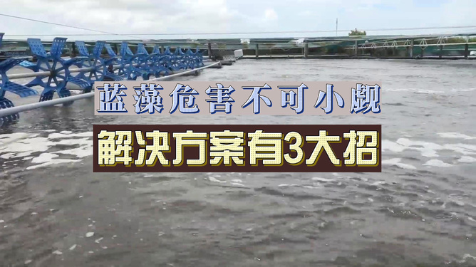 雷公岛水产养殖场最新招聘信息与职业机会详解