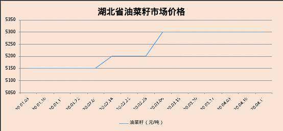 2025年2月19日 第28页