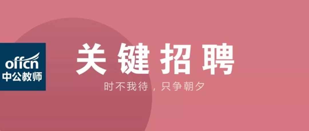 佛山市面包师傅最新招聘信息概览